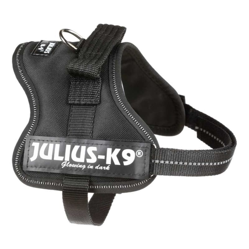 Julius K9 Dog Powerharness Black Pet Supermarket