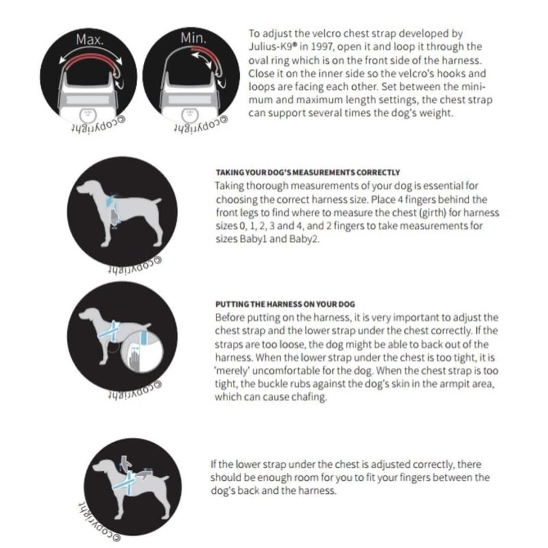 Chest Belt with Front Control Ring for JULIUS K9 Powerharness