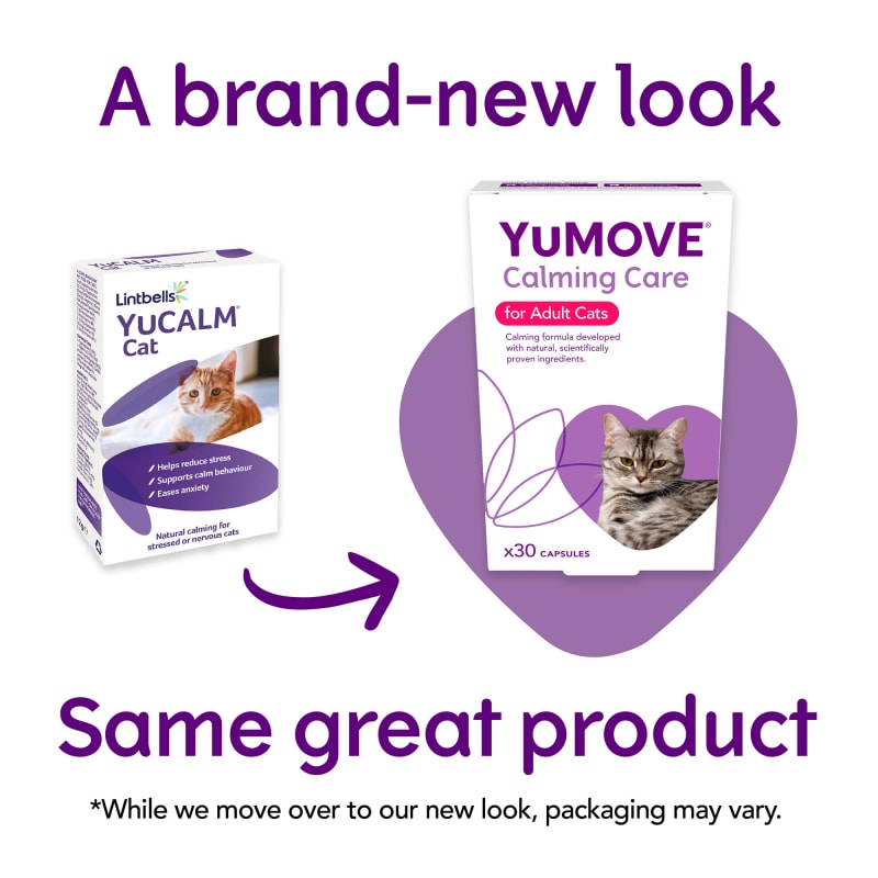 Yumove for cats discount best price