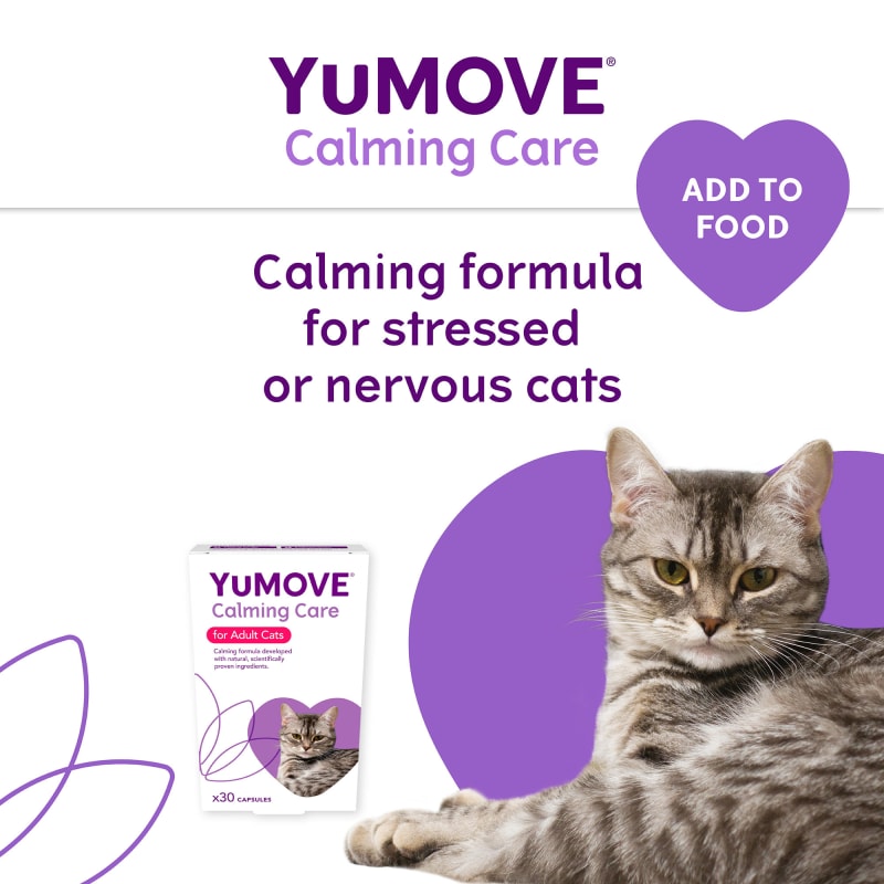 Calming formula for cats sales