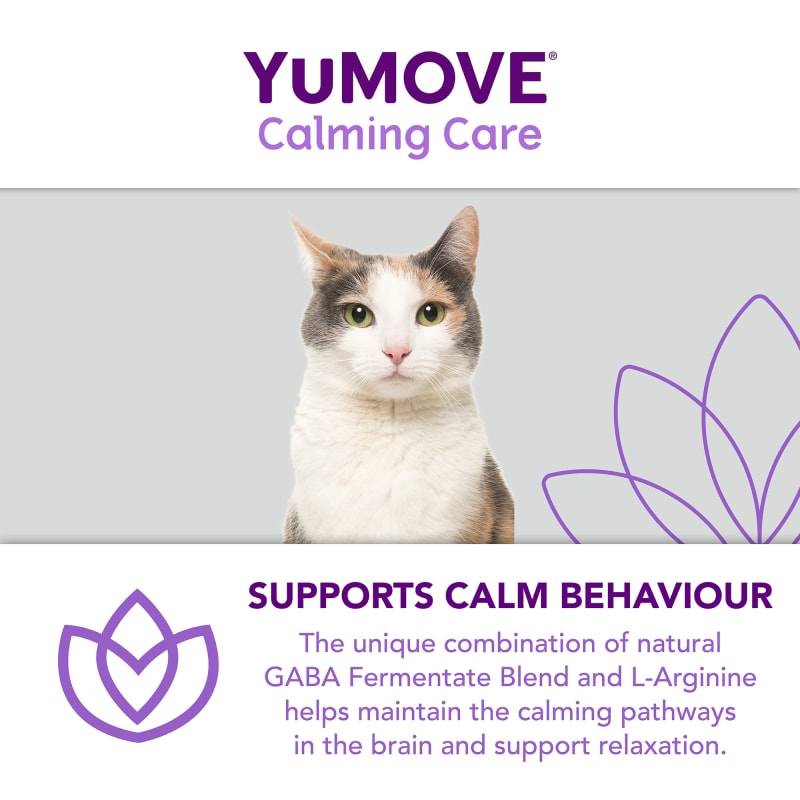 Yumove cat online