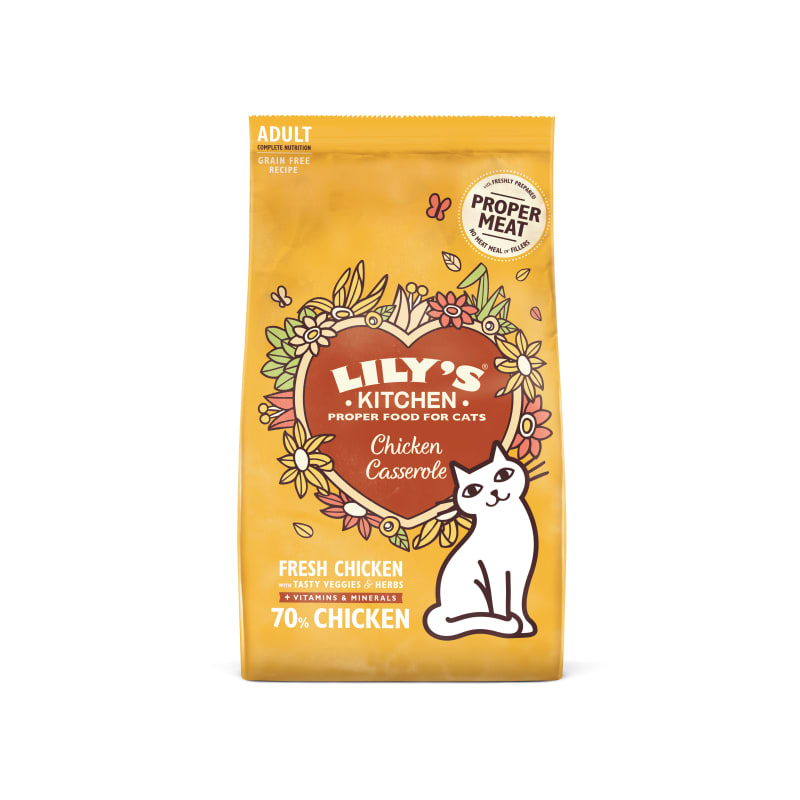 Lily's kitchen senior cat shop food