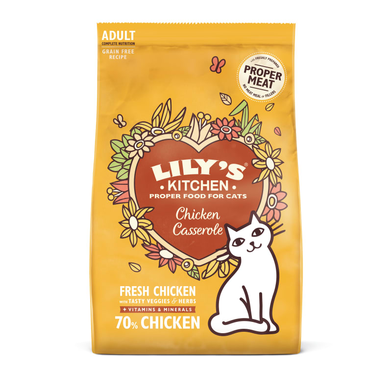Lily's kitten food review online