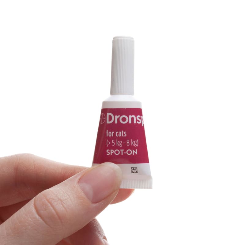 Dronspot Spot On Wormer for Large Pet Supermarket