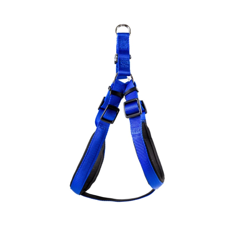 Royal blue cheap dog harness