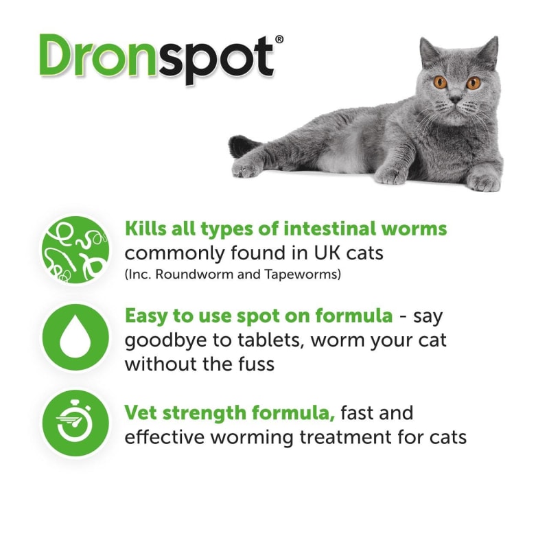 Worming pipettes for cats outlet