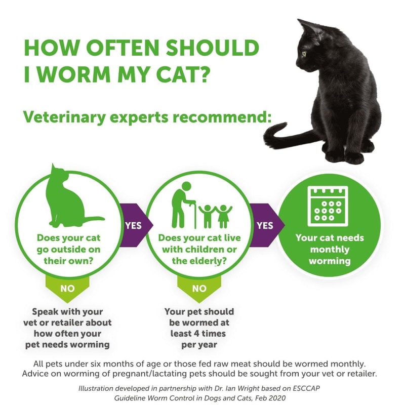 Dronspot Spot On Wormer for Medium Pet Supermarket