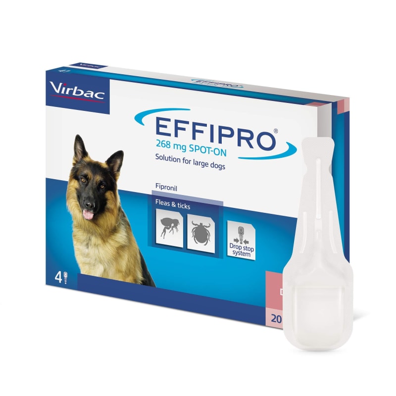 Effipro flea treatment for dogs outlet