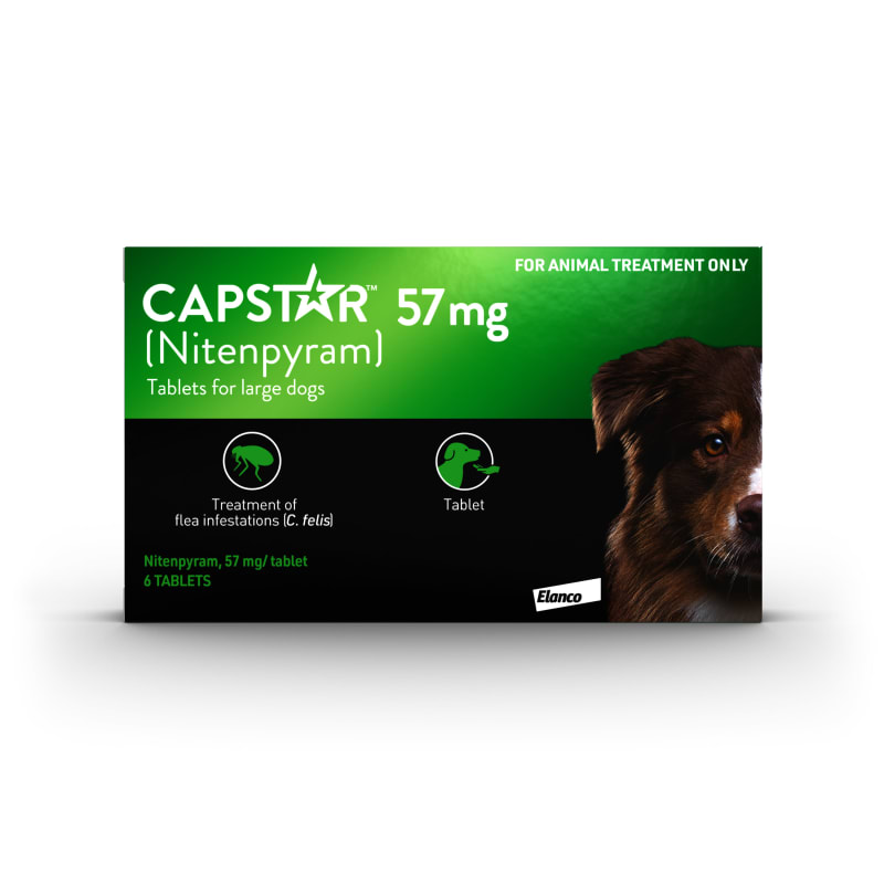 Capstar Fast Acting Flea Treatment Pet Supermarket