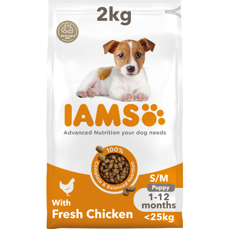 Medium breed puppies shop