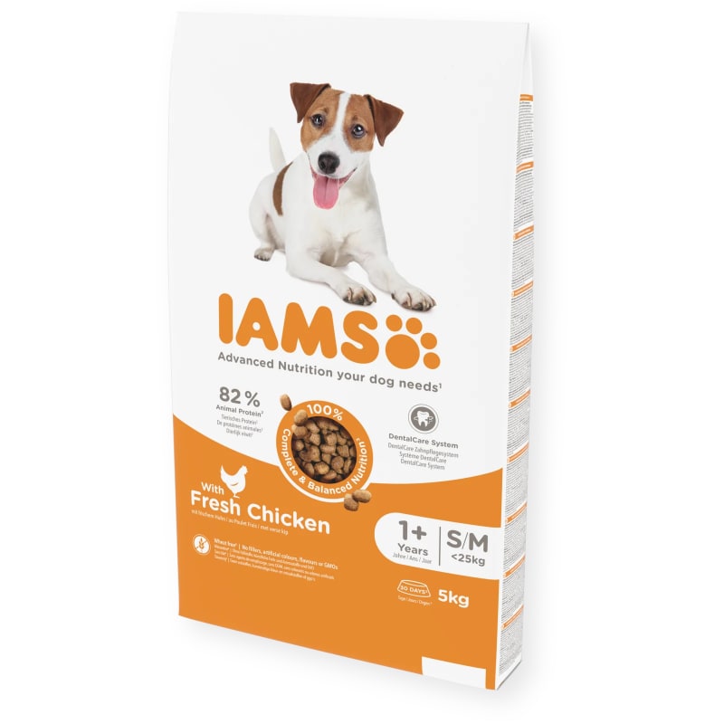 Iams golden retriever new arrivals