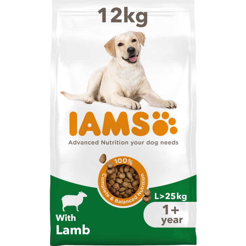 Iams labrador retriever food deals
