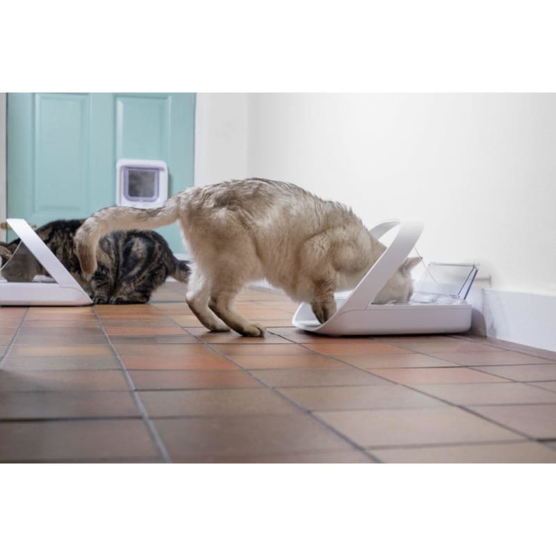 Microchip pet feeder for cats hotsell