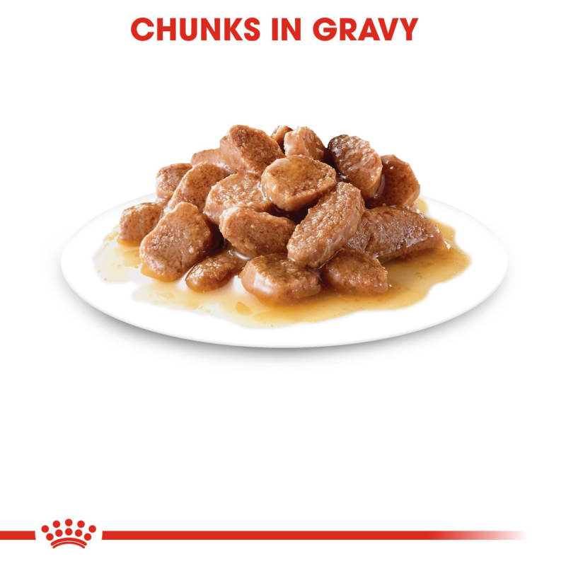 Royal canin sterilised gravy discount