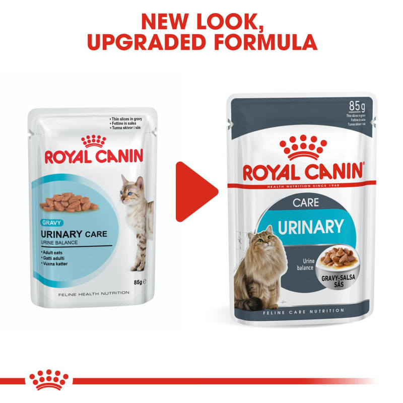 Royal canin cat treats urinary shop
