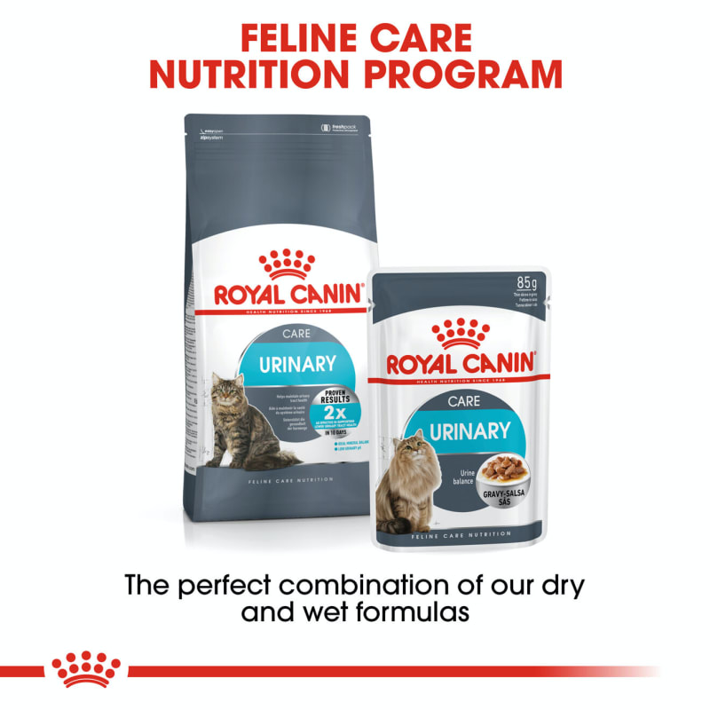 Royal canin urinary care wet sales cat food