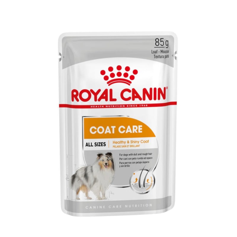 Best dog food for healthy shiny coat cheap