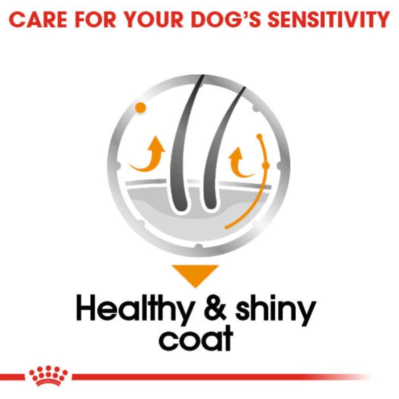 Royal canin coat care hot sale