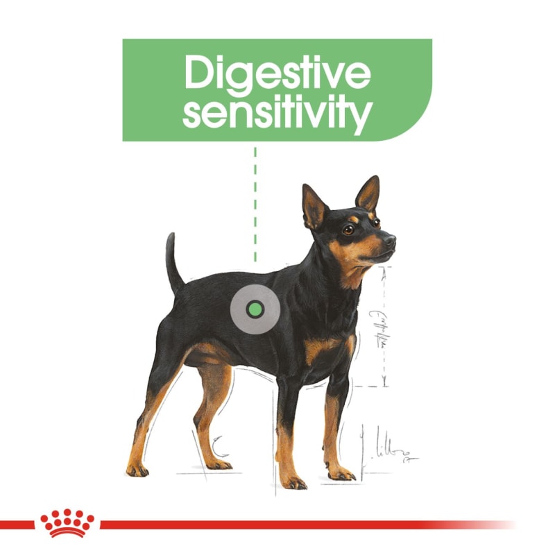 Royal canin digestive top care wet dog food