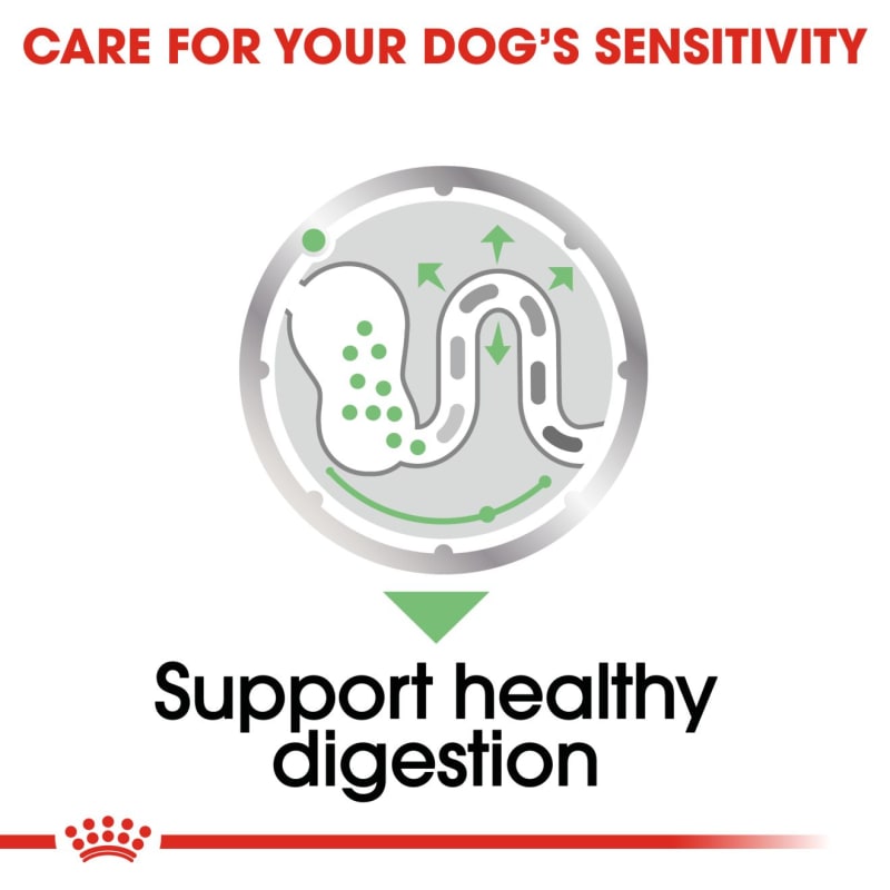 Royal canin digestive top care canned dog food