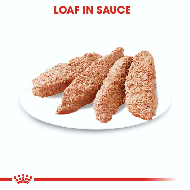 Royal canin clearance comfort care