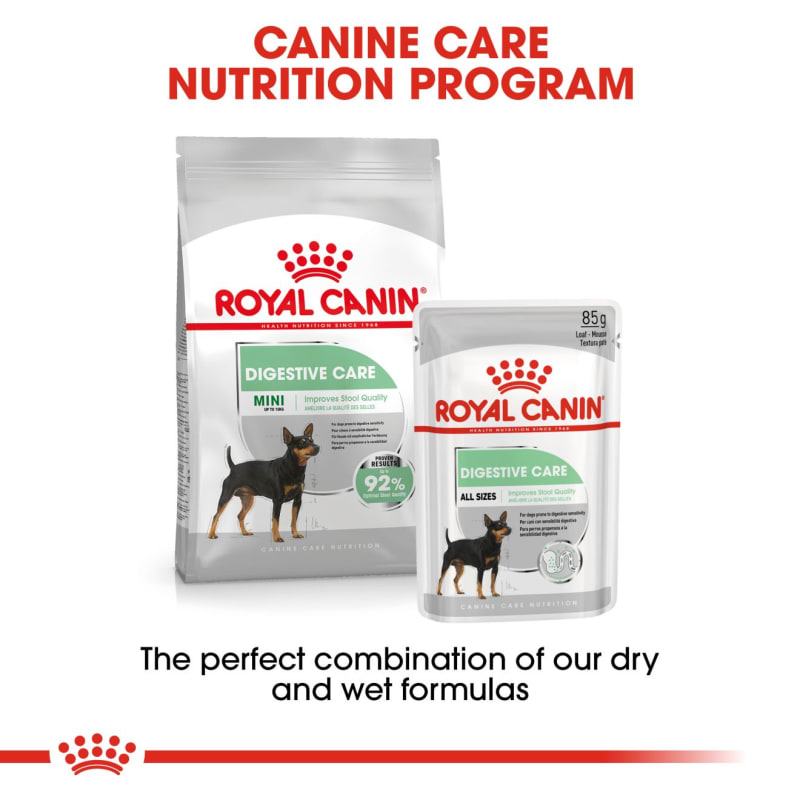 Canine deals care nutrition