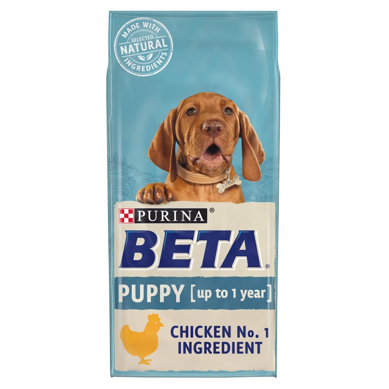Hard dog sale food