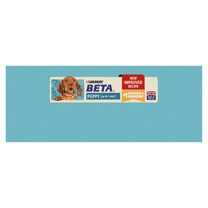 Beta puppy top
