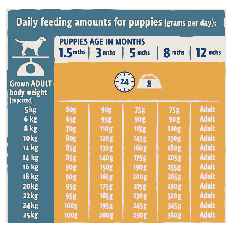 Purina beta puppy food large breed shop