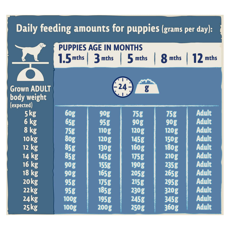 Purina Beta Puppy Dry Dog Food Pet Supermarket