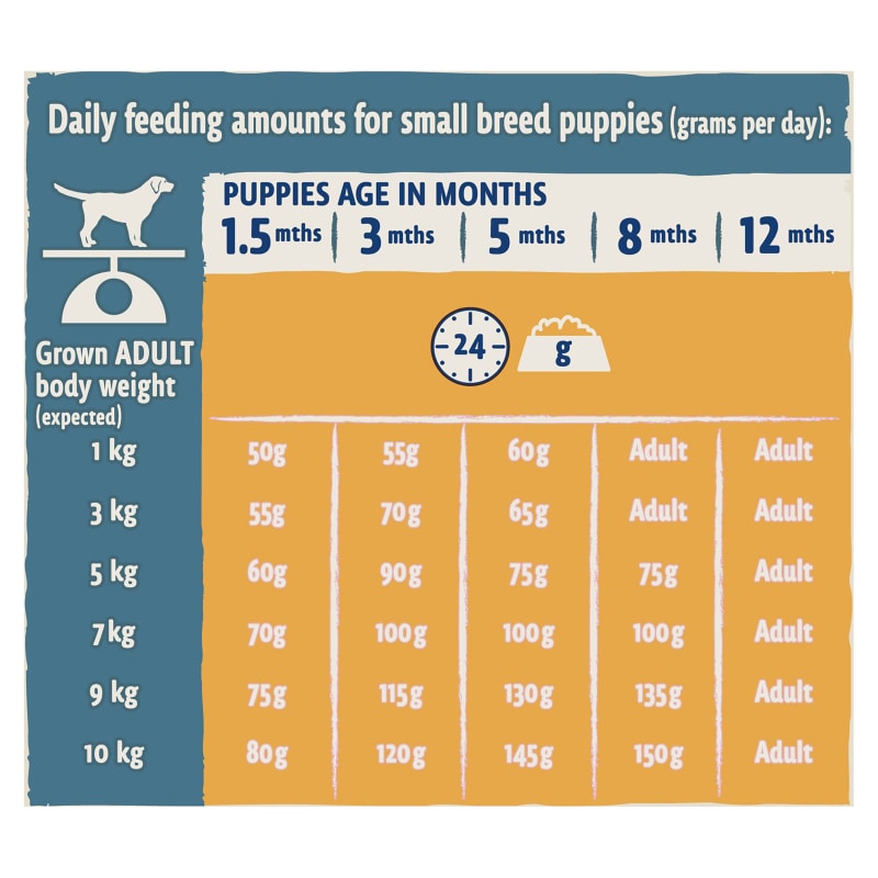 Purina Beta Small Puppy Dry Dog Food Pet Supermarket