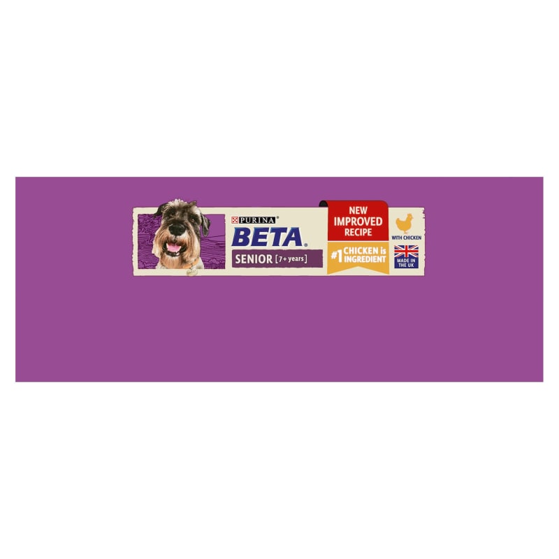 Purina senior outlet dog food