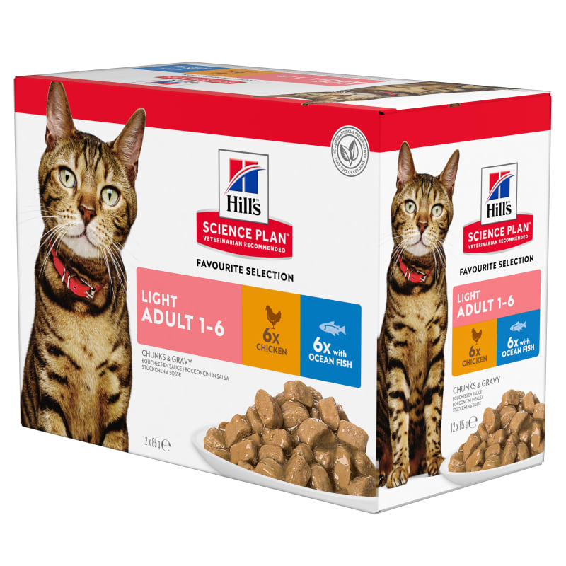 Science plan wet cat food sale