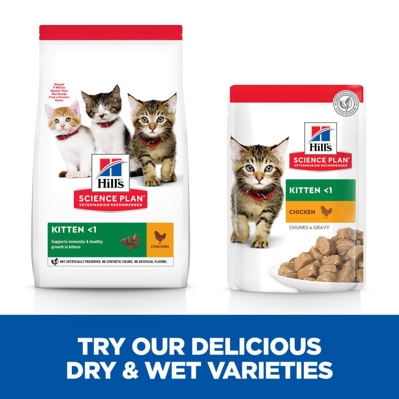 Hills science plan cheap kitten food pouches