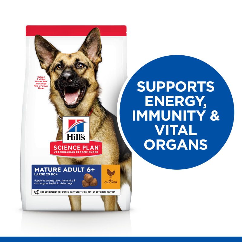 Mature adult dog food 2025