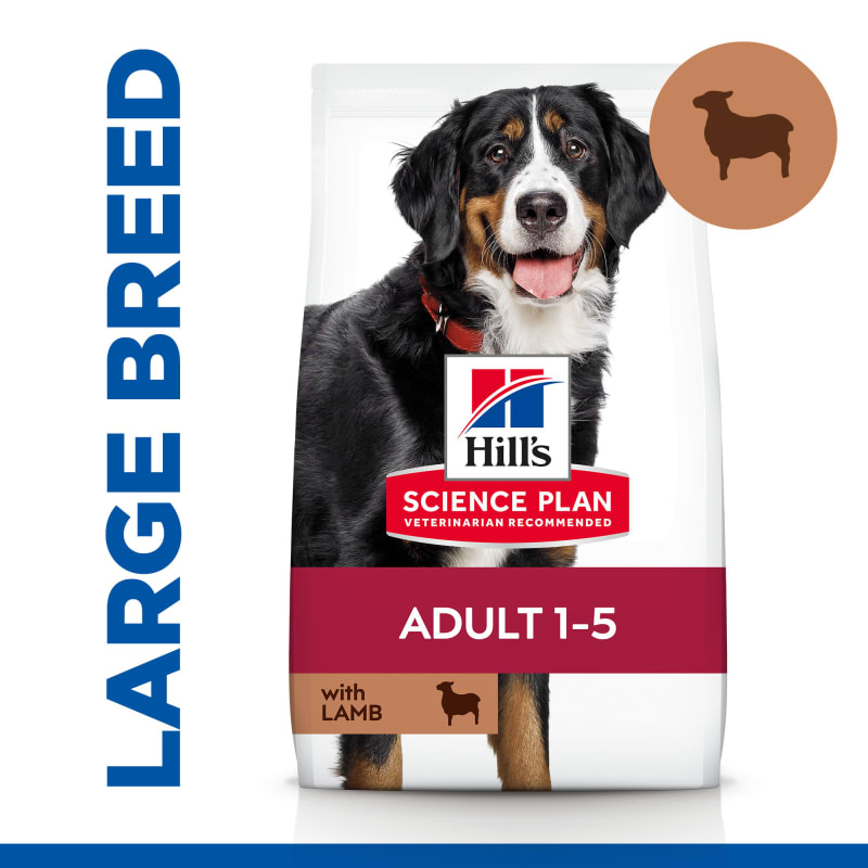 Hill s Science Plan Large Adult 1 5 Pet Supermarket