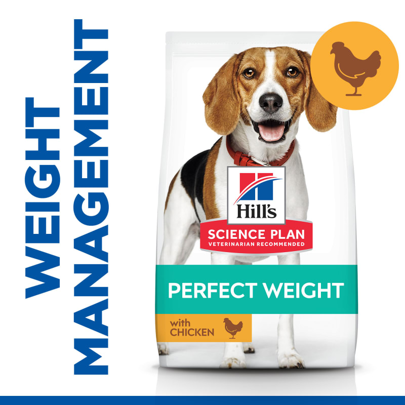 Hills perfect weight medium 2025