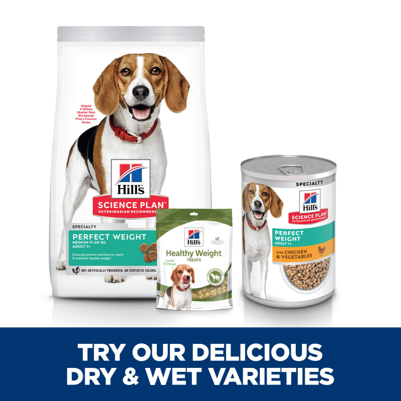 Hills science plan medium dog outlet
