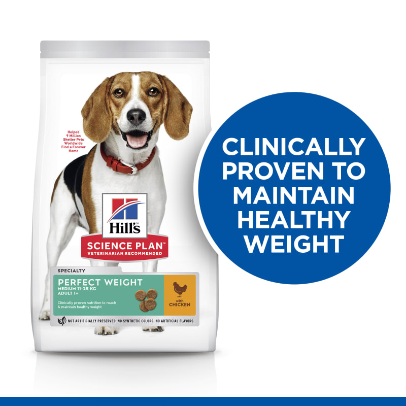 Chewy science diet perfect weight cheap