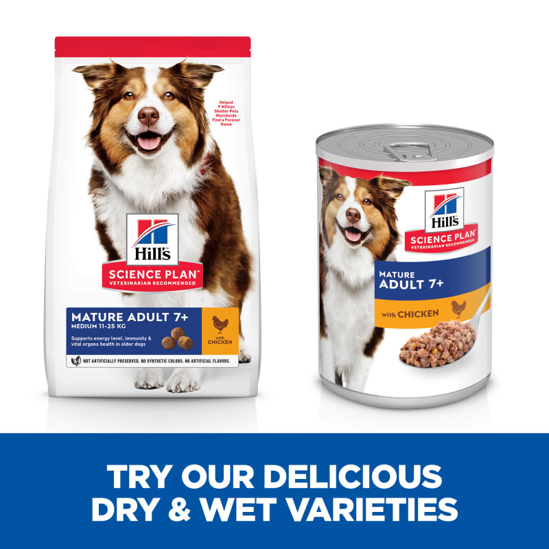 Science diet for older dogs cheap