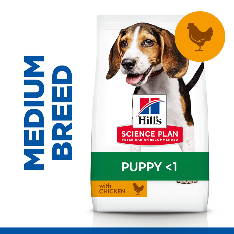 Hills science plan puppy medium discount