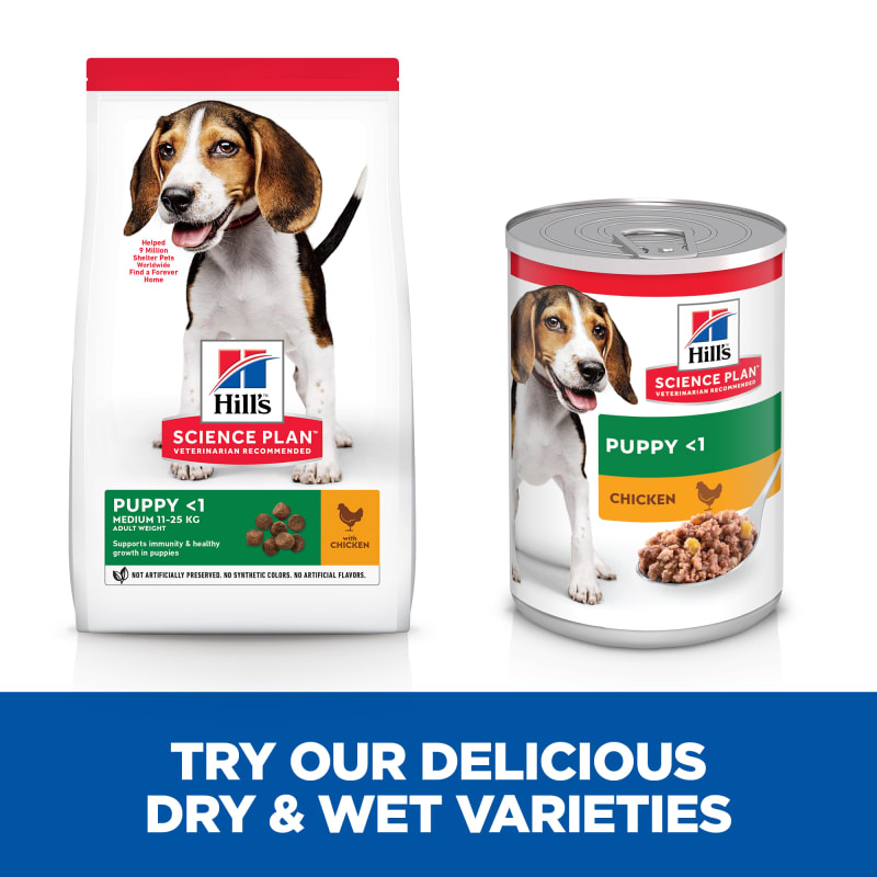 Hill's puppy medium discount