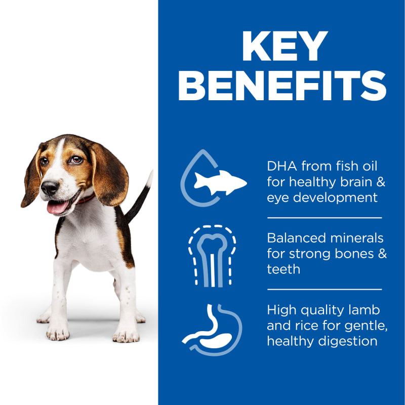 Hill s Science Plan Medium Puppy Pet Supermarket