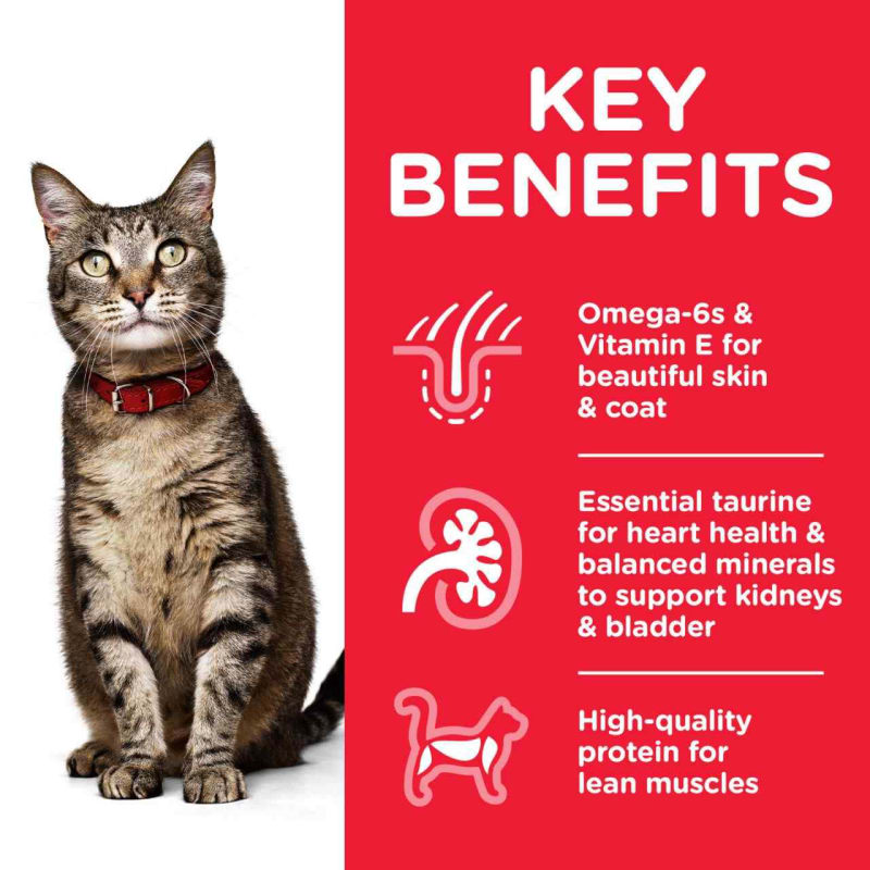 Hill's science sale diet optimal care