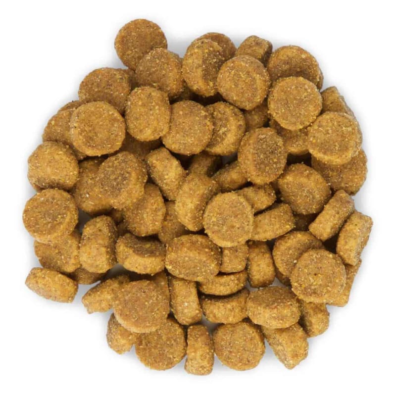 Hills science plan optimal best sale care cat food 15kg