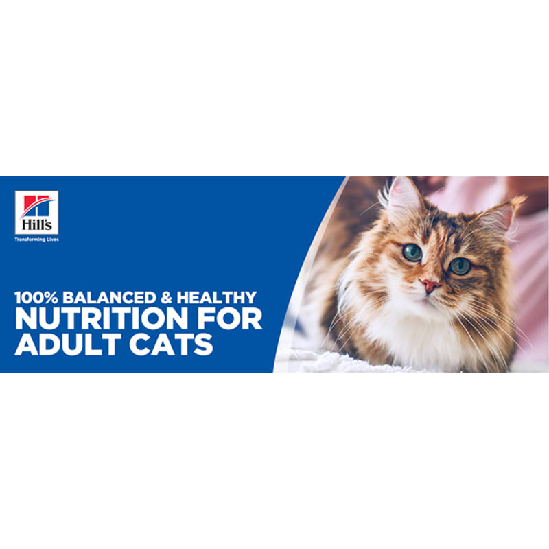 Hill's cat deals