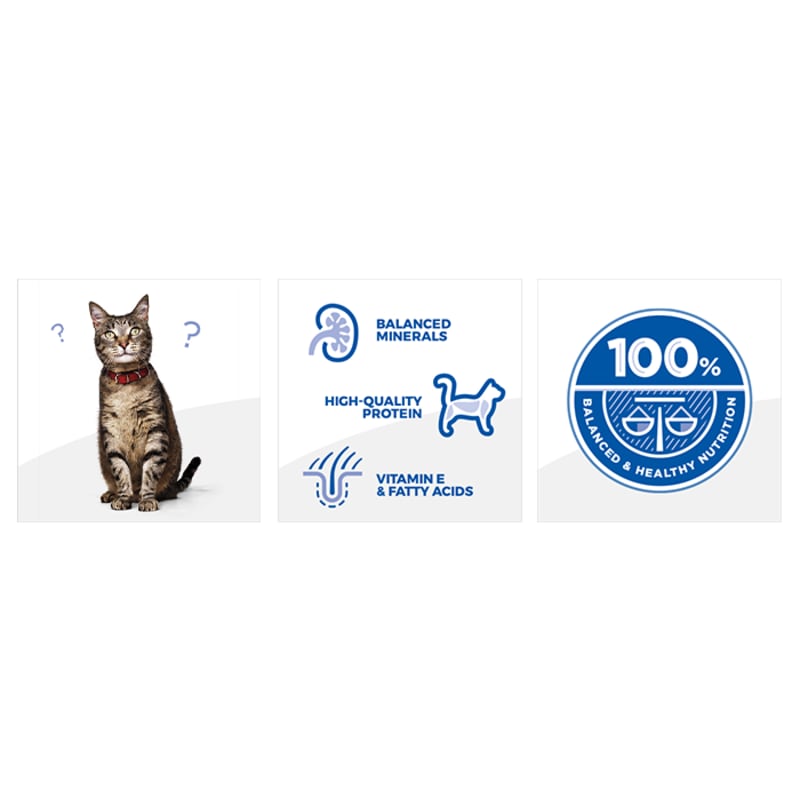 High nutrition cat food shop