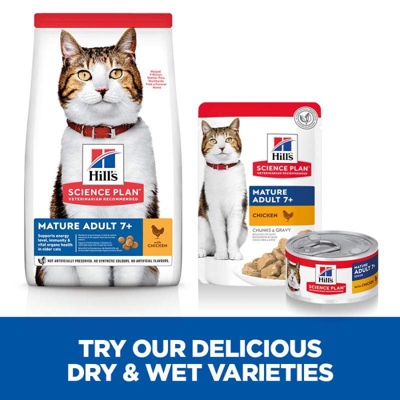 Science plan oral cheap care cat food 5kg
