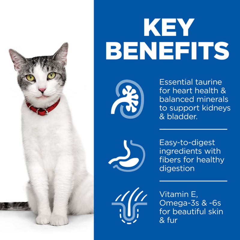 Essential pet deals bladder support
