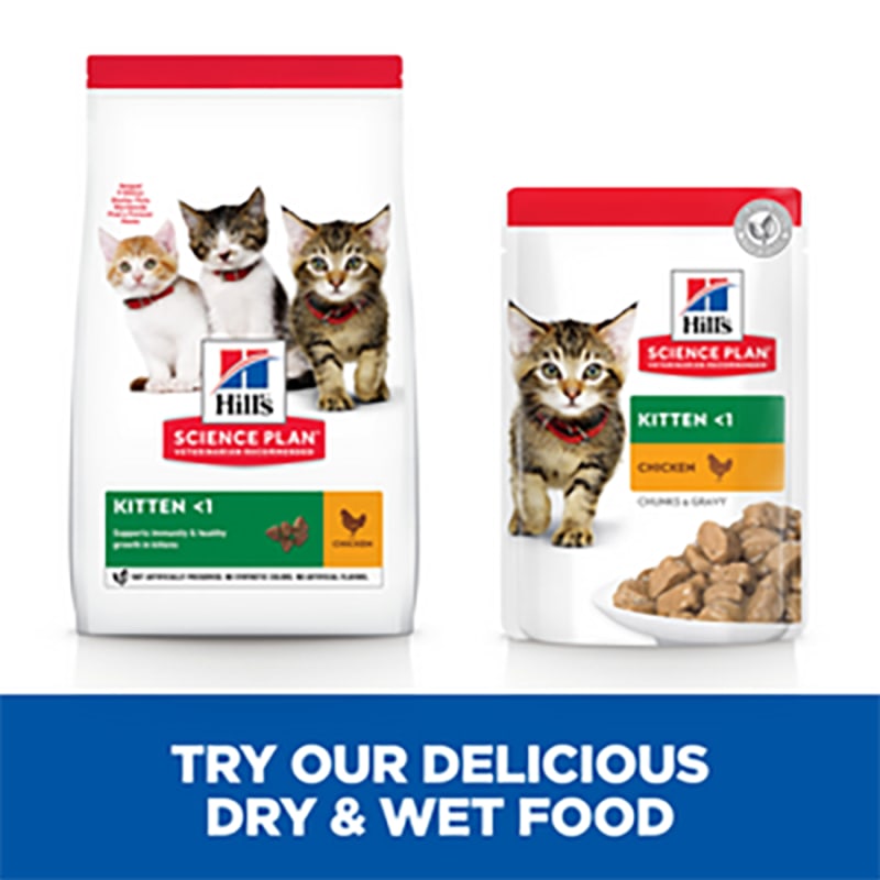 Hills science kitten dry food store
